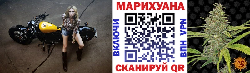 Бошки Шишки план Лесной
